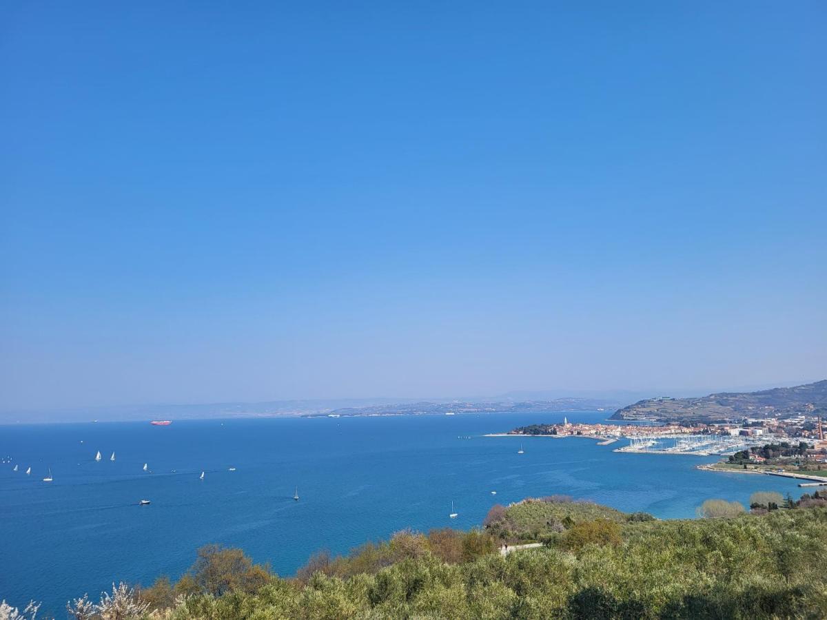 Apartmaji Tim Izola Dış mekan fotoğraf